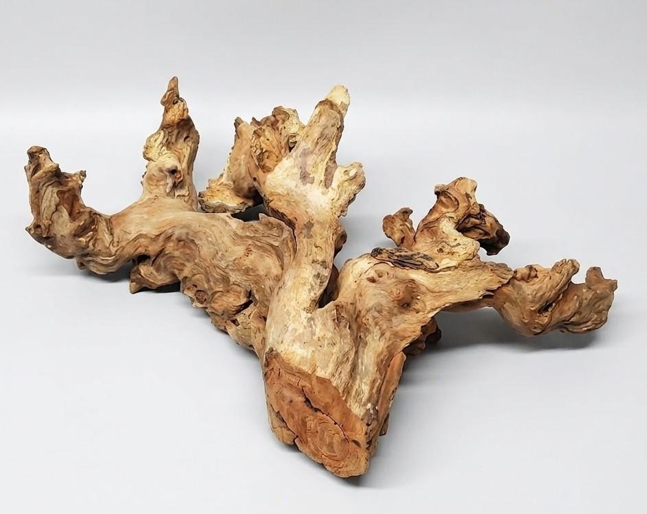 majoywoo Natural Large Driftwood for Aquarium Decor Reptile Decor (17in x 11in)