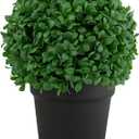 Northlight Artificial Boxwood Ball Topiary in Round Pot Unlit, 9.5", Green
