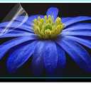Anti Glare Film for TV 55 inch, Anti Blue Light Screen Frosted Film, New Upgrade Frosted Surface Anti Scratch,55 inch Anti Glare TV Screen Protector