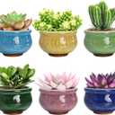 Okllen Set of 6 Small Succulent Pots, Ceramic Succulent Planters Stylish Crackle Glaze Design with Drainage Holes for Indoor/Outdoor Small Plants, Plants Not Included