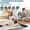 CNAOA Washable Pee Pads for Dogs 2 Pack 24x24 in - 5 Layer Reusable Puppy Pads, Super Absorbent, Waterproof, Leak Proof Non-Slip Training and Whelping Pet Pee Pads for Crate, Playpen, Potty
