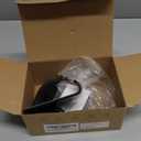 LISEN Cell Phone Stand Phone Holder for Desk Recording Office, Women Office Desk Accessories Gifts PC Gaming Essentials iPhone Stand Gadgets Fit OtterBox Case Switch iPad Air Tablet 4-10 in (BLACK)