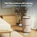 BLUEAIR Room Humidifier - DreamWell - 48Hr Top-Fill Mist-Free InvisibleMist Technology Aroma Stone for Essential Oils and Soothing Mood Lighting - Quiet Operation for Bedroom and Home Use, Beige