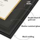Americanflat 11x14 Diploma Frame - Gold Mat - Black