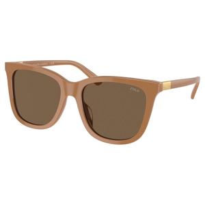 Polo PH 4201U Sunglasses