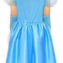 ROC PARTY Girls Fairytale Princess Costume Blue Halloween Dress with Gloves Headband & Choker  Kids Party Outfit (Blue)