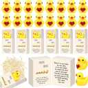 Cinnvoice 30 Set Employee Appreciation Gifts Bulk for Teacher Nurse Coworkers Box Breathing with Resin Animal Graduation Volunteer Secretary Office Staff Thank You Gifts (Duck Styles)