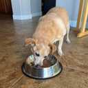 3 x Stainless Steel Non-Skid Pet Dog Water and Food Bowl, 2-Pack (10 x 2.8 Inches), Each Holds Up to 4 Cups