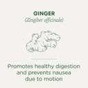 Traditional Medicinals Tea, Organic Ginger, Healthy Digestion, Pleasantly Spicy & Warming, 16 Tea Bags (EXP 04/20/29)