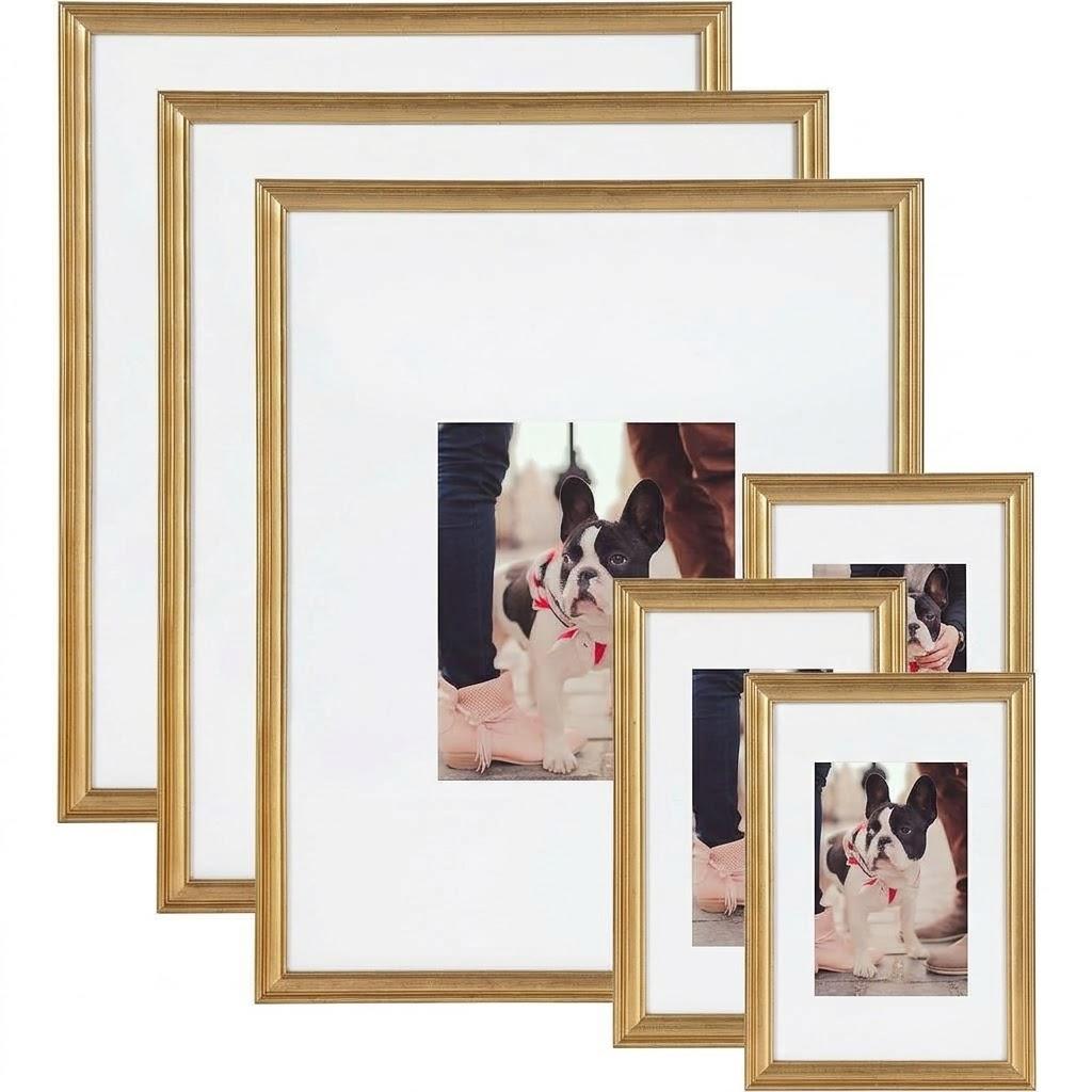 Kate and Laurel Adlynn Wall Picture Frame Set, 16" x 20" matted to 8" x 10", Gold, Set of 6