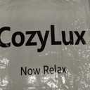 CozyLux King Size Comforter Set - Beige Comforter King Size, 3 Pieces Box Stitched Bed Set for All Seasons, Soft Lightweight Bedding Sets with 1 Down Alternative Comforter and 2 Pillow Shams