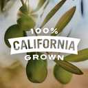 Early California Simply Olives Green Ripe Pitted Olives, Pack of 12, 6 oz Cans (EXP 09/30/29)