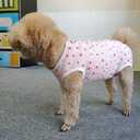 Dogs Recovery Suit Post Surgery Shirt for Puppy, Wound Protective Clothes for Little Animals(Pink Stars-XXS)
