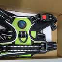 PHOEPET No Pull Dog Harnesses for Small Dogs Reflective Adjustable Front Clip Vest with Handle 2 Metal Rings 3 Buckles [Easy to Put on & Take Off](S, Green)