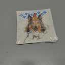 4 x Shetland Sheepdog Birthday Card 3D Pop Up  Sheltie Dog with Party Hat & Birthday Cake, Funny Birthday Card for Sheltie Lovers, Shetland Sheepdog Mom Dad Gift, 6x6 Inch, Includes Envelope