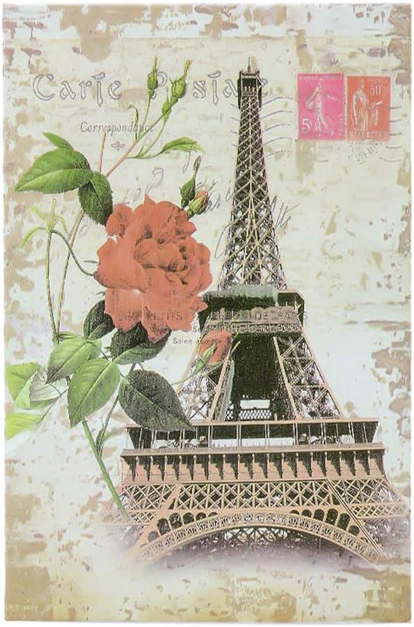 Diversion Book Safe, Dictionary Secret Cash Safe Box with Combination Lock, Diversion Book Hidden Safe (Paris, Code, M)