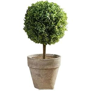 YUANstore Erythrina sea Mini Potted Artificial plant Bonsai set fake Flower vase Decorative Flower Home Balcony Decoration