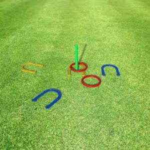 Plastic Horseshoe Game