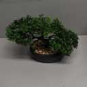 Artificial Bonsai Tree Juniper Faux Plants Indoor Small Fake Plants Decor with Ceramic Pots for Home Table Office Desk Bathroom Shelf Bedroom Living Room Farmhouse Decorations, 9" Ficus