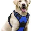 rabbitgoo Dog Harness No Pull with 2 Leash Clips, Adjustable Soft Padded, Reflective Oxford No Choke Pet Vest with Easy Control Handle for Large Dogs, Dazzling Blue, L