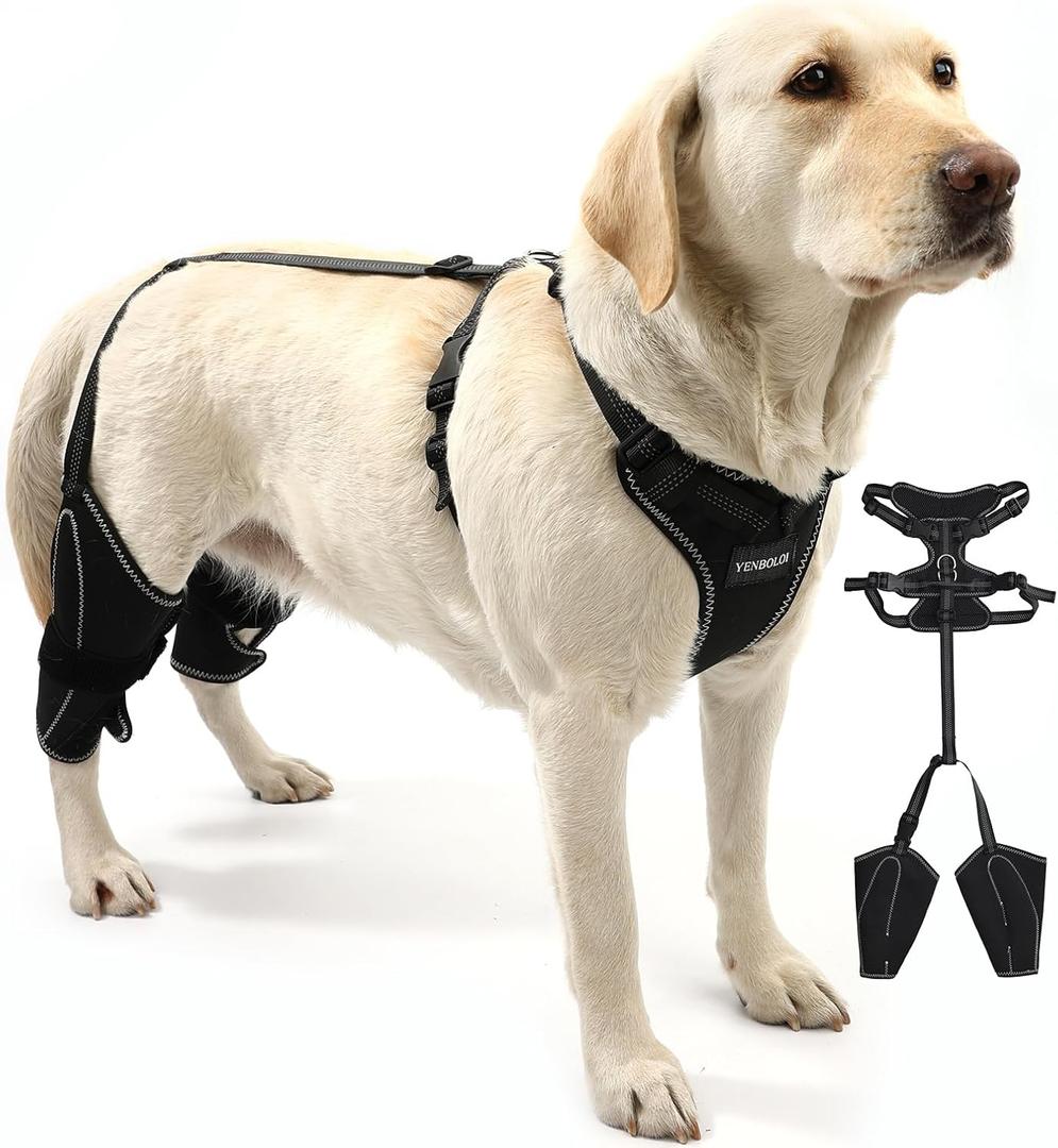 Dog Knee Brace for Torn Acl Hind Leg for Support with Cruciate Ligament Injury, luxating Patella,Arthritis,Dog Acl Knee Brace with Metal Splint Hinged Support for CCL Luxating Patella (XL)