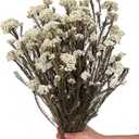 17 Inches Natural Dried Millet Flower Bouquet for Decor, 22-25 Stems Home and Wedding Decoration (White)