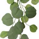 6ft. Eucalyptus Garland by Ashland - Faux Hanging Garland Vine for Home Decor, Bedroom, Parties, Weddings, Indoor Use - 1 Pack