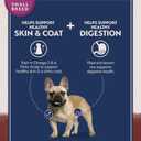 Natural Balance Limited Ingredient Small-Breed Adult Dry Dog Food with Healthy Grains, Beef & Brown Rice, 12 Pound (Pack of 1)