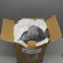 Bedsure GentleSoft Sherpa Fleece Twin Blanket for Couch, Non-Heated, Thick and Warm Throw for Women and Men, Soft Fuzzy Plush Blanket for Winter, Grey, 60x80 Inches