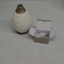 Young Living Desert Mist Ultrasonic Essential Oil Diffuser - Elegant Vase for Soothing Aromatherapy - Stylish Design for Home and Office Aroma Diffuser : Health & Household