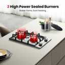 GASLAND 12 Inch Gas Cooktop 2 Burners, Drop-in Natural Gas Hob with Thermocouple Protection, LPG/NG Convertible Dual Fuel Propane Stove Top, Stainless Steel