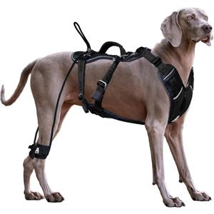 No Pull Dog Harness, Heavy Duty Tactical Dog Harness with Handle, Easy Control and Training Better Leash Manners (Onyx Black, Medium)