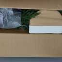 4FT Prelit Norfolk Pine Tree, Christmas Tree with Lights (1 PC)