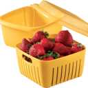 Hutzler Berry Box Size Ea