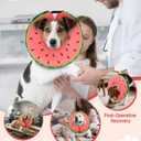 MIDOG Dog Cone Collar for Dogs, Watermelon, Small