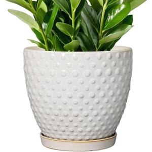 G EPGardening 10 Inch Plant Pot Ceramic Pots for Plants Indoor Outdoor Plant Pots with Drainage Hole and Saucer Round Large Flower Pot for Home Garden Office White