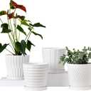 Ton Sin Plant Pots,White 6 Inch Flower Pots for Plants,Ceramic Planter with Drainage Holes,Indoor Planter Pots with Saucer,Outdoor Garden Pots (White, 4 Pack)