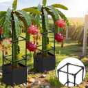 Dragon Fruit Trellis for Climbing Plants Indoor Outdoor, Heavy Duty Metal Adjustable Vertical Garden Support for Indoor Outdoor Potted Plants, Tomato, Cactus, Roses,Vines(12 * 12 * 47inch,1PC)