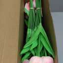 Jexine 100 Pcs Artificial Real Tulips Fake Artificial Tulip Flower Bulk Bouquet with Stem for Table Centerpieces Wedding Bridal Easter Mother's Day Garden Home Decor, 13.4''(Pink)