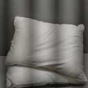 Hotel Grand Bed Pillows King Size Set of 2, 500 Thread Count Cotton Cover, Down Alternative Hotel Pillow for Side, Back, or Stomach Sleepers, Medium Firm Hypoallergenic 18x34