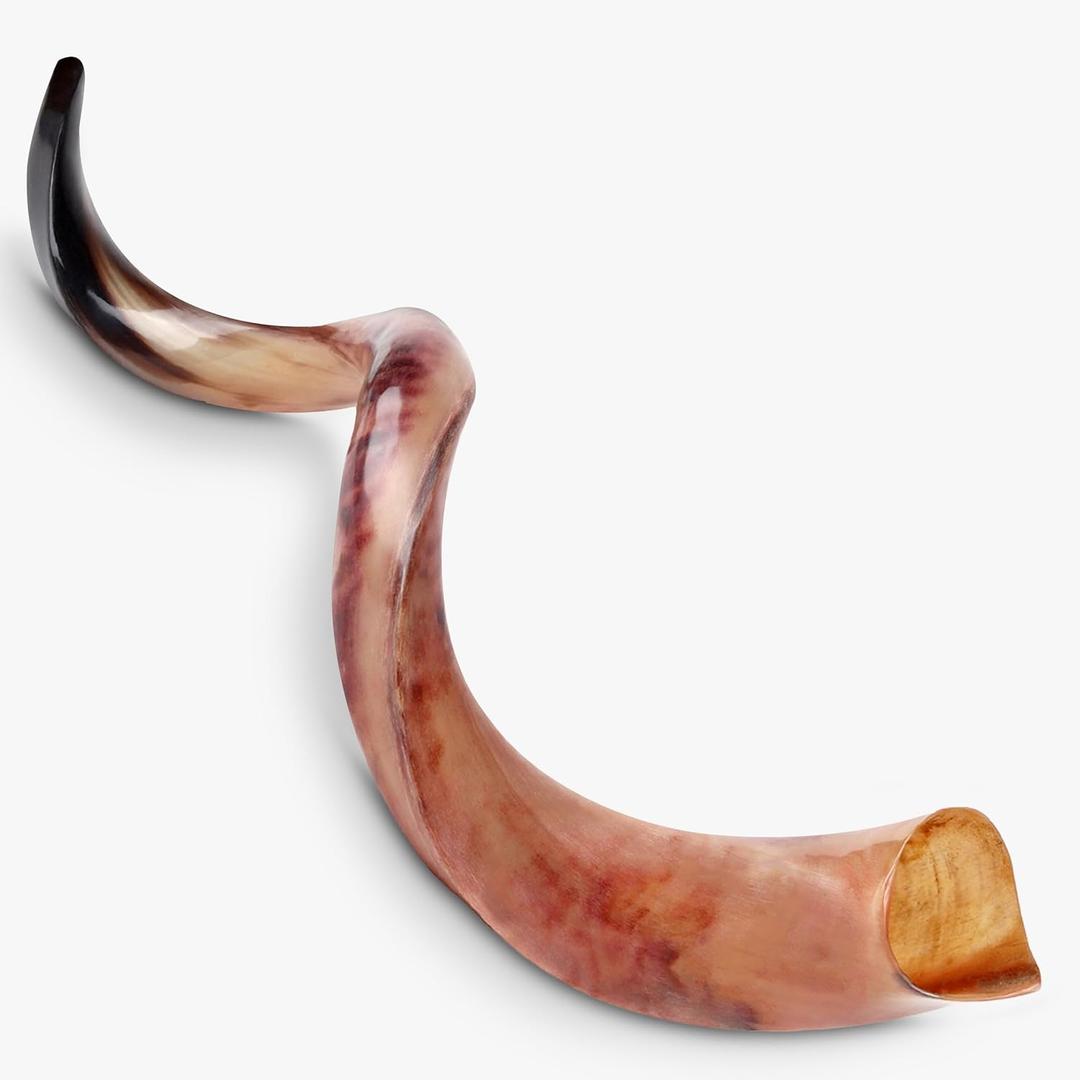 HalleluYAH Original Kosher Fully-Polished Kudu Shofar From ISRAEL (28"-32")