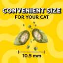 Temptations Classic Crunchy and Soft Cat Treats Blissful Catnip Flavor, 16 oz. Tub (1 Pound (Pack of 1))