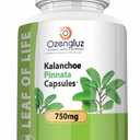 Kalanchoe Pinnata-Leaf of Life (Bryophyllum Pinnatum) 60 Cápsulas De 750mg Bottle, BB: 12/2027