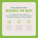 VetIQ Probiotic Powder for Dogs, Treats Diarrhea, Digestive Issues, Food Sensitivity, Chicken Flavored, Single-Serve Packets, 30 Count