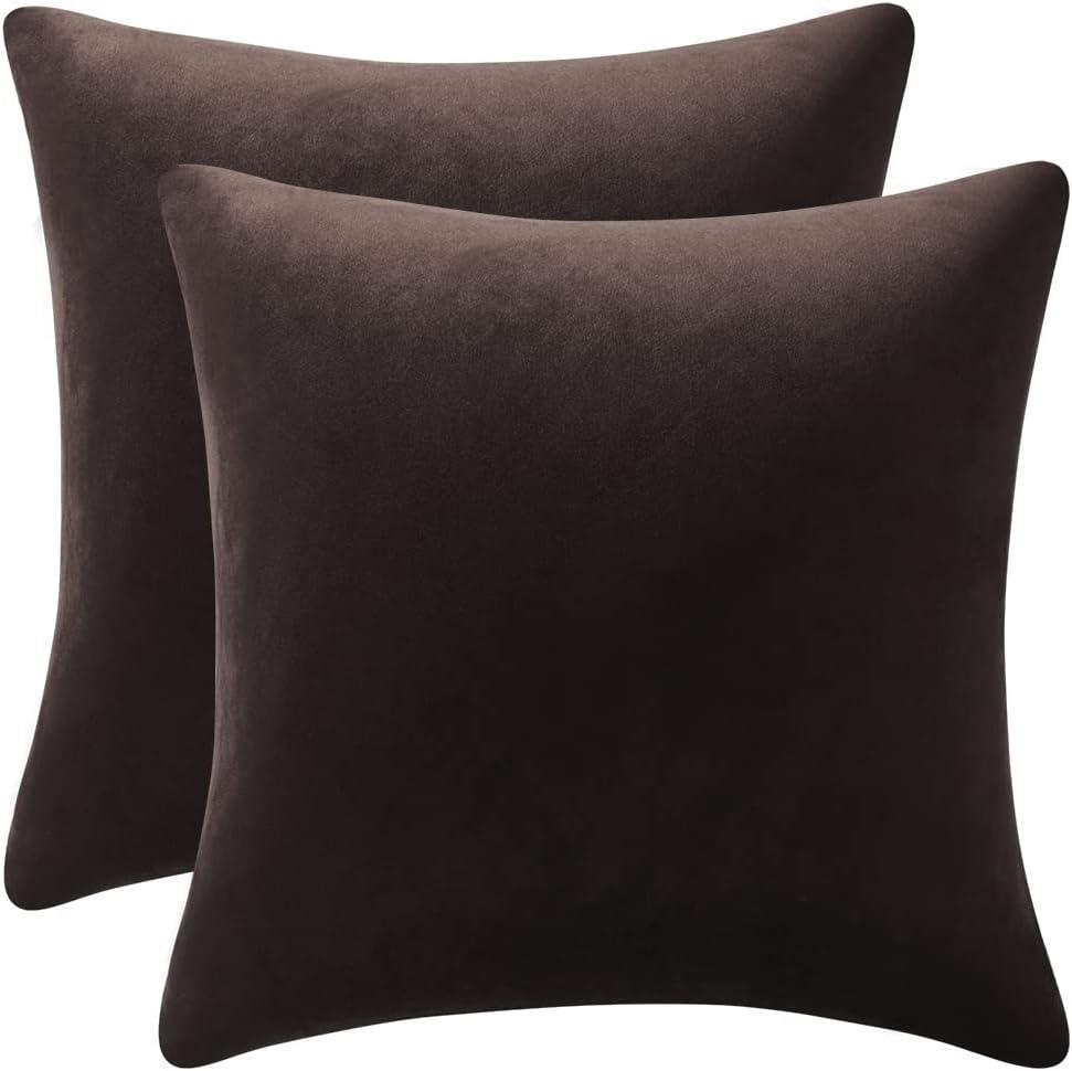 DEZENE Decorative Pillow Cases 18x18 Chocolate Brown: 2 Pack Cozy Soft Velvet Square Throw Pillow Covers for Farmhouse Home Decor (18" x 18" (Pack of 2), Chocolate Brown)
