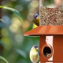 Squirrel Proof Bird Feeders for Outdoor: 4.8LB Large Capacity Hanging Bird Feeder, Weight-Activated Mechanism Wild Bird Feeders, Chew-Proof Metal Birdfeeder for Finch Cardinal Chickadee