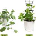 Feitore Mini Plant Trellis Garden Trellis for Climbing Plants Outdoor Plastic Superimposed Potted Plant Support Flower Supports (4 Pcs)