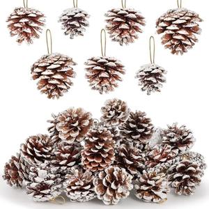 JOHOUSE 16PCS Snow-Dusted Natural Pine Cones with Gold String – 2-2.5in Pinecone for Crafts, Thanksgiving & Christmas Tree, Wreath/Garland DIY, Table/Bowl/Vase Fillers, Fall Winter Home Decor
