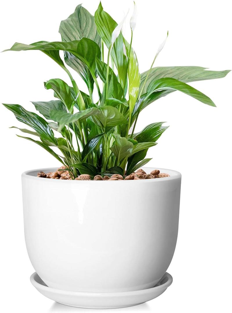 8 Inch Ceramic Planter, Plant Pots with Drainage Hole and Separable Saucer,Indoor-Outdoor Round Succulent Orchid Flower Pot,Indoor pots for Plants(Smooth White, Plant Pot only)