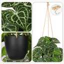 Large Fake Hanging Plants in Pot with Hook, 37" Artificial Hanging Pothos Long Vines Plants, Fake Potted Greenery Plant for Room Wall Living Room Bathroom Kitchen, Big Faux Ivy Houseplants for Shelf